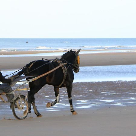 Les Bains De Mer Grandcamp-Maisy Exteriér fotografie
